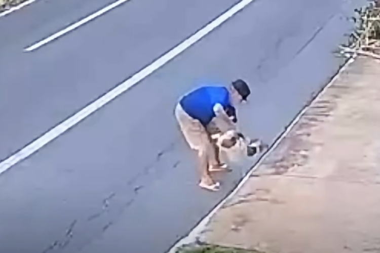 Idoso que jogou cachorra em bueiro recebe liberdade provisória em Goiânia
