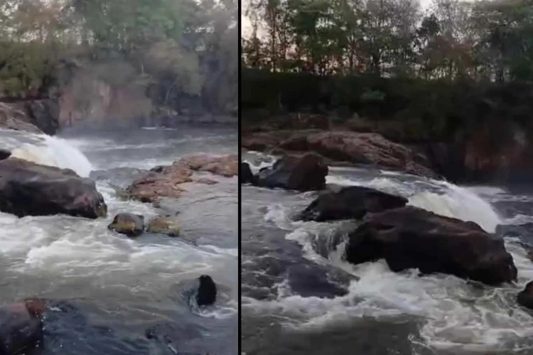 Jovem desaparece após cair no Rio Claro, em Jataí; bombeiros fazem buscas