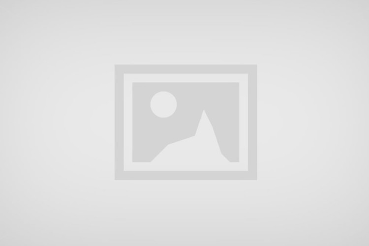 Governo de Goiás amplia prazo de vacinação contra brucelose no estado